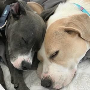 Meet your Posher, Christie